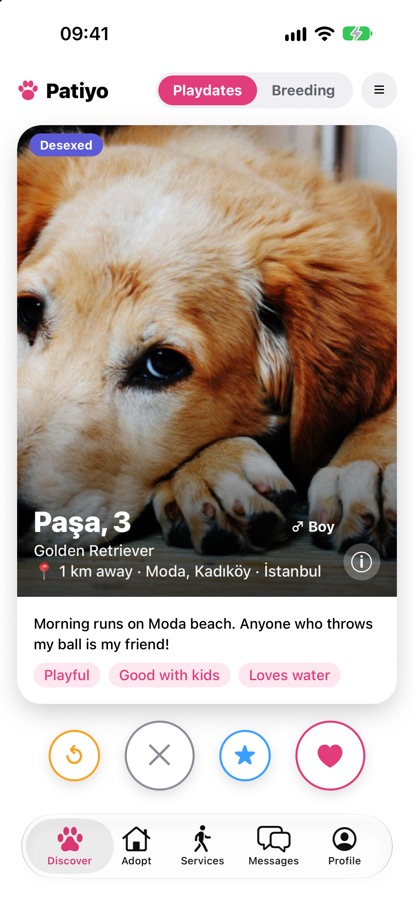 Patiyo Discover screen showing Karamel, a Border Collie